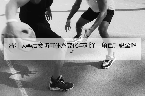 浙江队季后赛防守体系变化与刘泽一角色升级全解析